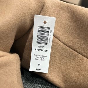 Aritizia symphony coat